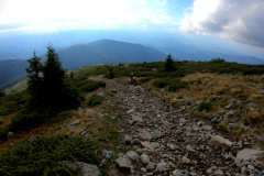 carpathian mountain scenery