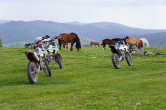 bikes-and-horses