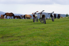 horses-and-bikes